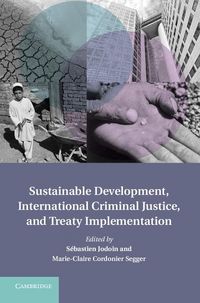 Produktbild: Sustainable Development, International Criminal Justice, and Treaty Implementation