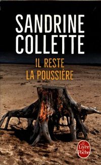 Produktbild: Il reste la poussi&egrave;re