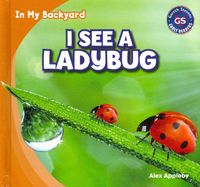 Produktbild: I See a Ladybug