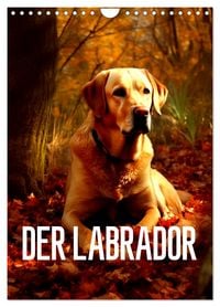 Produktbild: Der Labrador (Wandkalender 2026 DIN A4 hoch), CALVENDO Monatskalender
