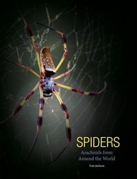 Produktbild: Spiders