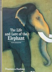Produktbild: Delort, R: The Life and Lore of the Elephant