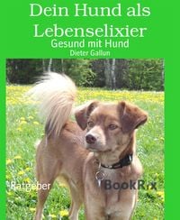 Produktbild: Dein Hund als Lebenselixier