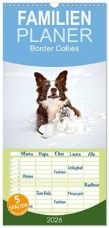 Produktbild: Familienplaner 2026 - Border Collies mit 5 Spalten (Wandkalender, 21 x 45 cm) CALVENDO
