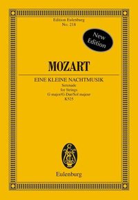 Bild vom Artikel Eine kleine Nachtmusik vom Autor Wolfgang Amadeus Mozart