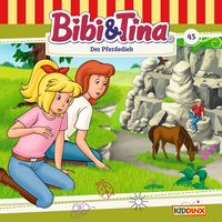 Produktbild: Der Pferdedieb