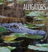 Produktbild: Alligators