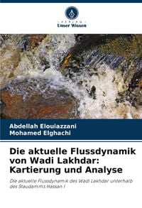 Produktbild: Die aktuelle Flussdynamik von Wadi Lakhdar: Kartierung und Analyse