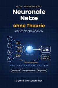 Produktbild: Neuronale Netze ohne Theorie
