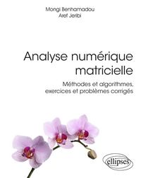 Produktbild: Analyse num&eacute;rique matricielle - M&eacute;thodes et algorithmes, exercices et probl&egrave;mes corrig&eacute;s