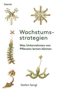 Bild vom Artikel Wachstumsstrategien vom Autor Stefan Sengl