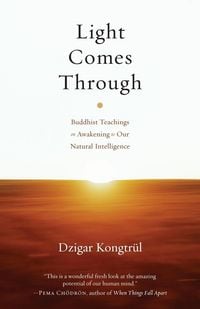 Produktbild: Light Comes Through