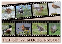 Produktbild: PIEP-SHOW im Ochsenmoor (Wandkalender 2026 DIN A2 quer), CALVENDO Monatskalender