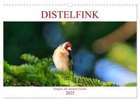 Produktbild: Distelfink (Wandkalender 2025 DIN A3 quer), CALVENDO Monatskalender