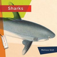 Produktbild: Sharks