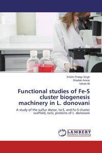 Produktbild: Functional studies of Fe-S cluster biogenesis machinery in L. donovani