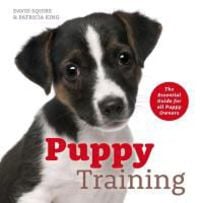 Produktbild: Puppy Training
