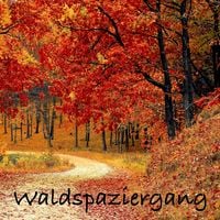 Produktbild: Waldspaziergang: Naturger&auml;usche und Meditationen (ohne Musik) zur Entspannung von K&ouml;rper und Geist