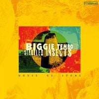Produktbild: House Of Stone (Gold Vinyl)