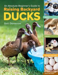 Produktbild: An Absolute Beginner's Guide to Raising Backyard Ducks