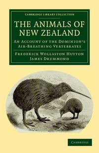 Produktbild: The Animals of New Zealand