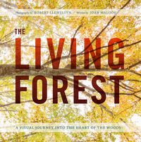 Produktbild: Living Forest