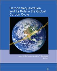 Produktbild: Carbon Sequestration and Its Role in the Global Carbon Cycle