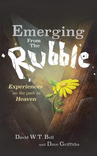 Produktbild: Emerging from the Rubble