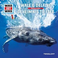Produktbild: 13: Wale & Delfine / Geheimnis Tiefsee