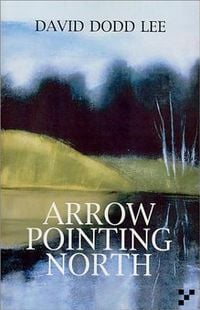 Produktbild: Arrow Pointing North