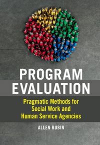 Produktbild: Program Evaluation