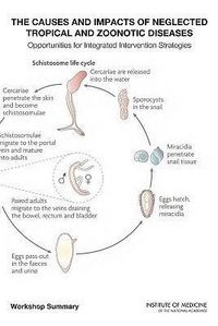 Produktbild: The Causes and Impacts of Neglected Tropical and Zoonotic Diseases