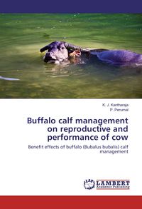Produktbild: Buffalo calf management on reproductive and performance of cow