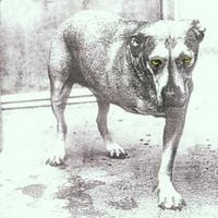 Produktbild: Alice In Chains