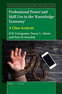 Produktbild: Professional Power and Skill Use in the 'Knowledge Economy'