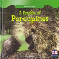 Produktbild: Prickle Of Porcupines