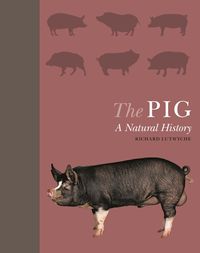 Produktbild: The Pig