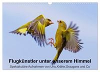 Produktbild: Flugk&uuml;nstler unter unserem Himmel - Spektakul&auml;re Aufnahmen von Uhu,Kr&auml;he,Graugans und Co (Wandkalender 2026 DIN A3 quer), CALVENDO Monatskalender