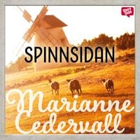 Produktbild: Spinnsidan