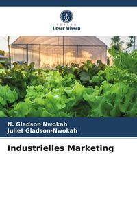Bild vom Artikel Industrielles Marketing vom Autor N. Gladson Nwokah
