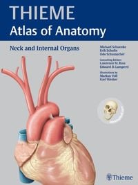 Bild vom Artikel Neck and Internal Organs (THIEME Atlas of Anatomy) vom Autor Edward D. Lamperti