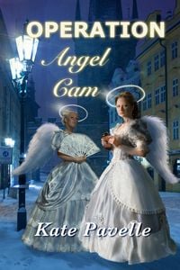 Produktbild: Operation Angel Cam