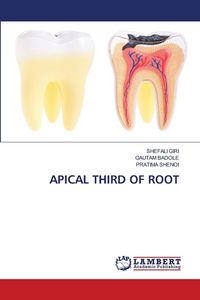 Produktbild: Apical Third Of Root