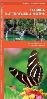 Produktbild: Florida Butterflies & Moths