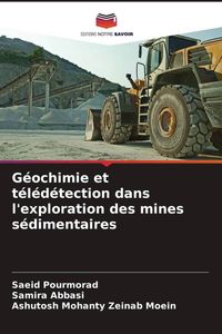 Produktbild: G&eacute;ochimie et t&eacute;l&eacute;d&eacute;tection dans l'exploration des mines s&eacute;dimentaires