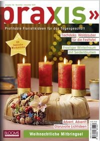 Produktbild: Praxis Nr. 126