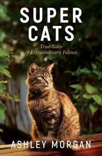 Produktbild: Super Cats