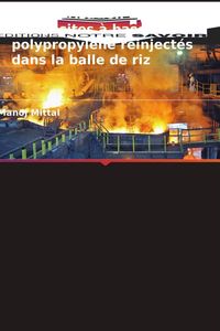 Produktbild: Caract&eacute;risation des composites &agrave; base de polypropyl&egrave;ne r&eacute;inject&eacute;s dans la balle de riz