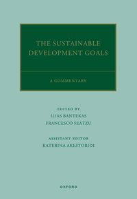 Produktbild: The UN Sustainable Development Goals