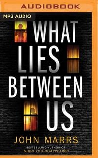 Bild vom Artikel What Lies Between Us vom Autor John Marrs